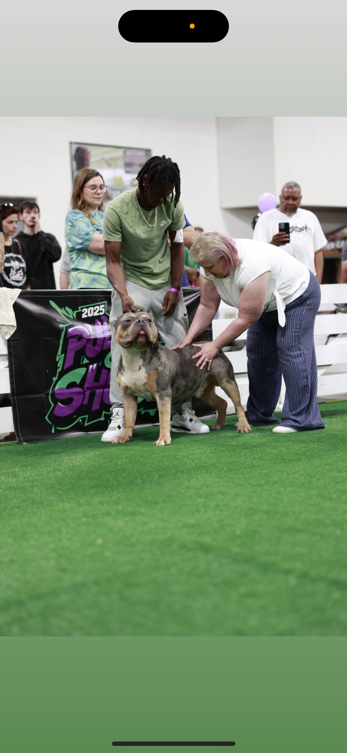 Dog Featured Image