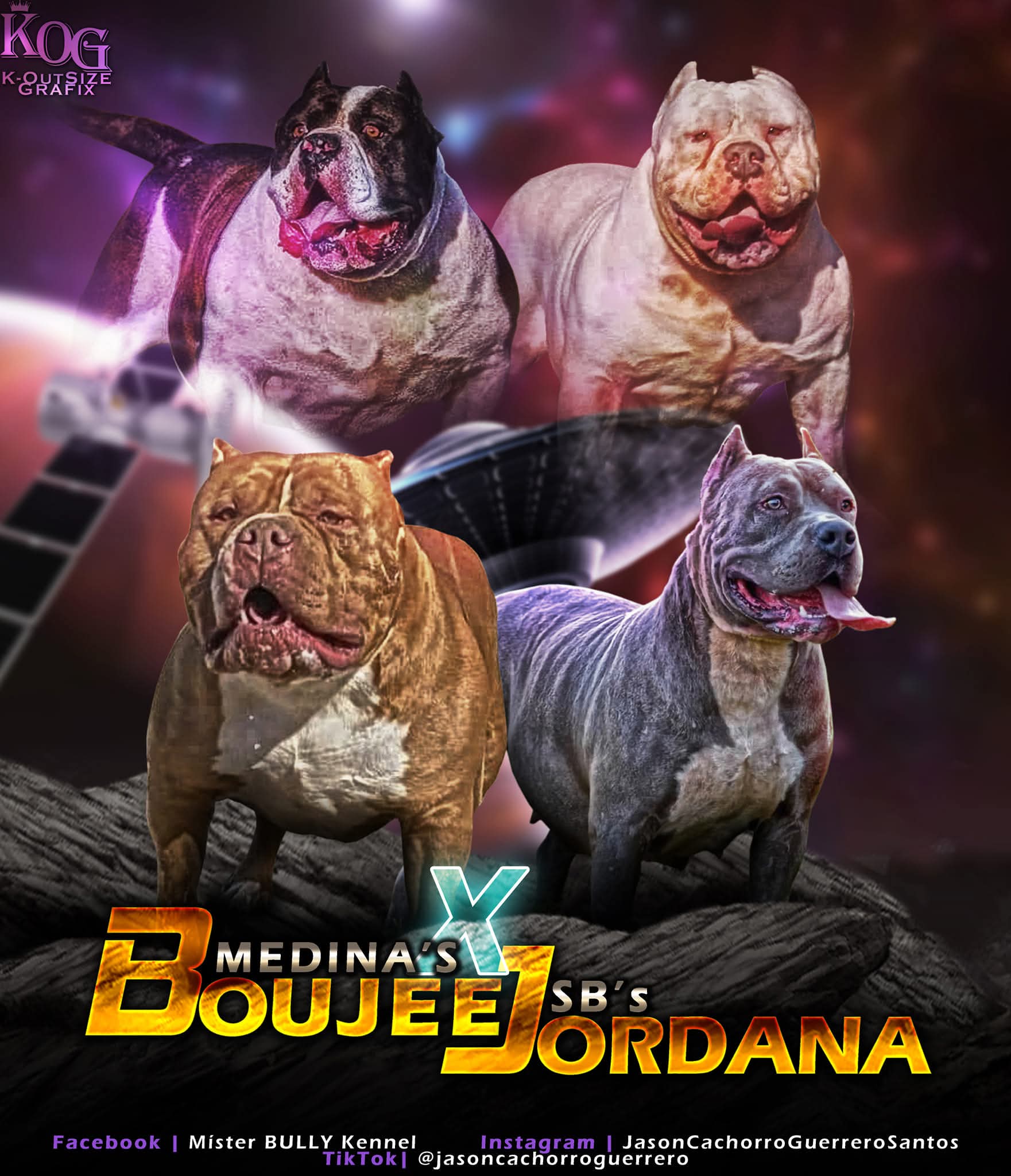 Dog Featured Image