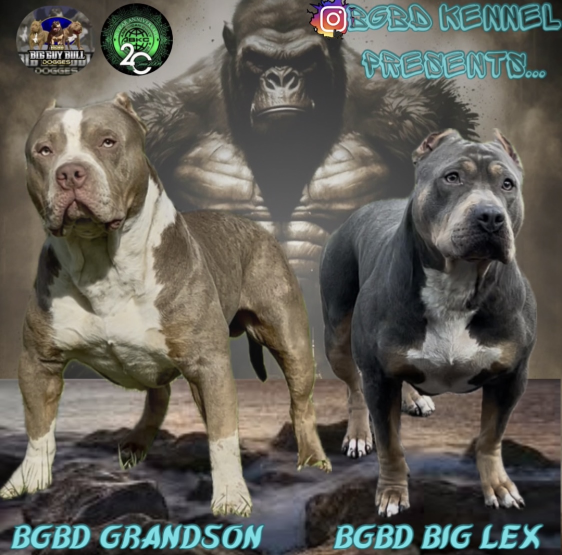 Dog Featured Image