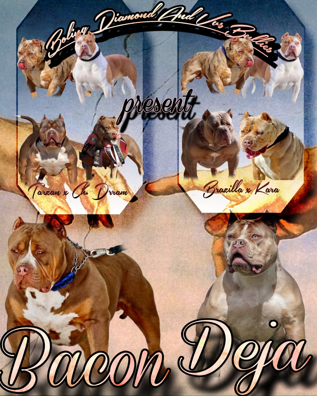 Dog Featured Image