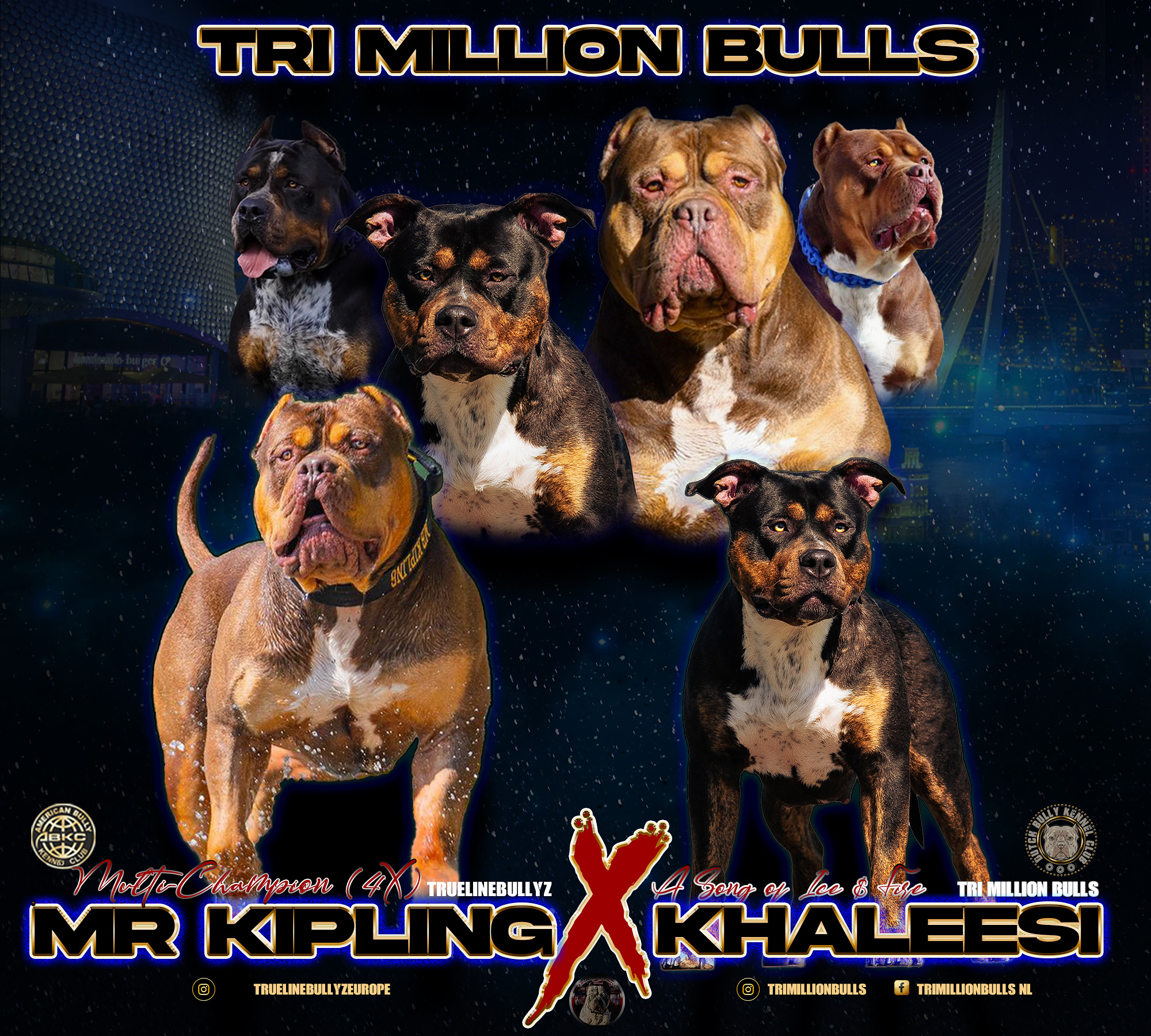Dog Featured Image