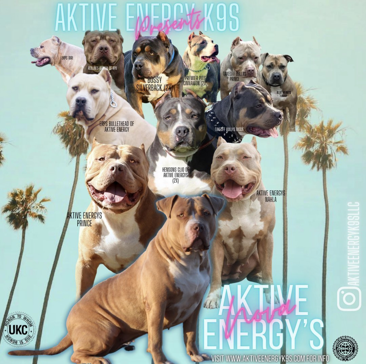 Dog Featured Image