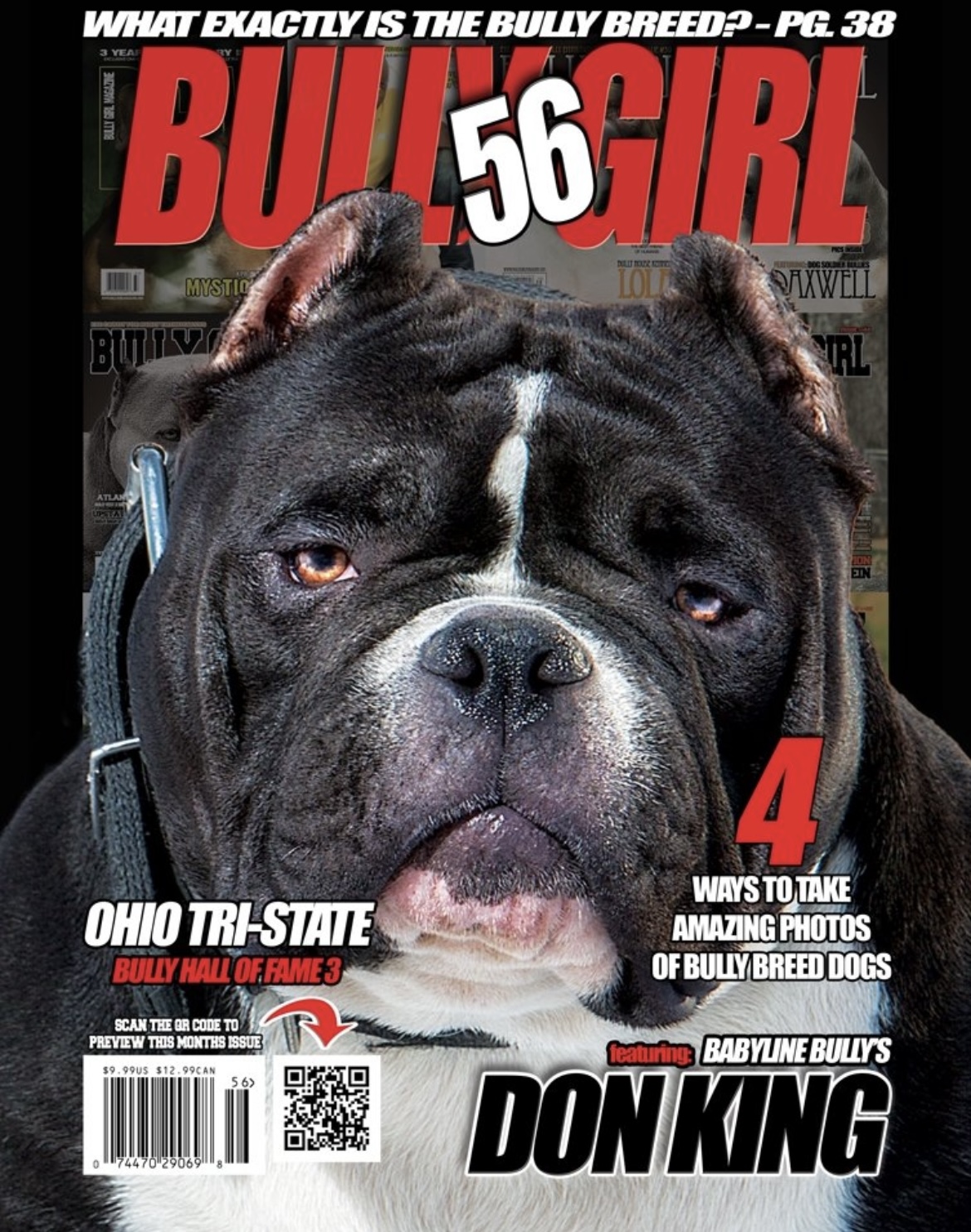 Dog Featured Image