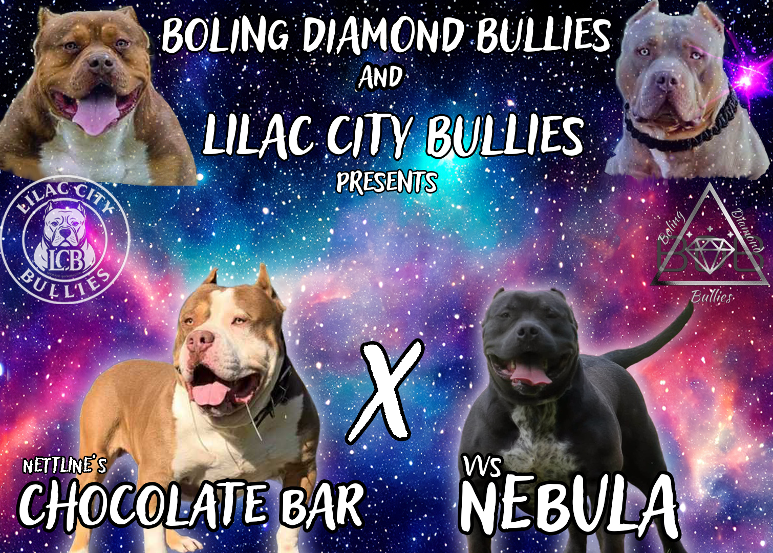 Dog Featured Image