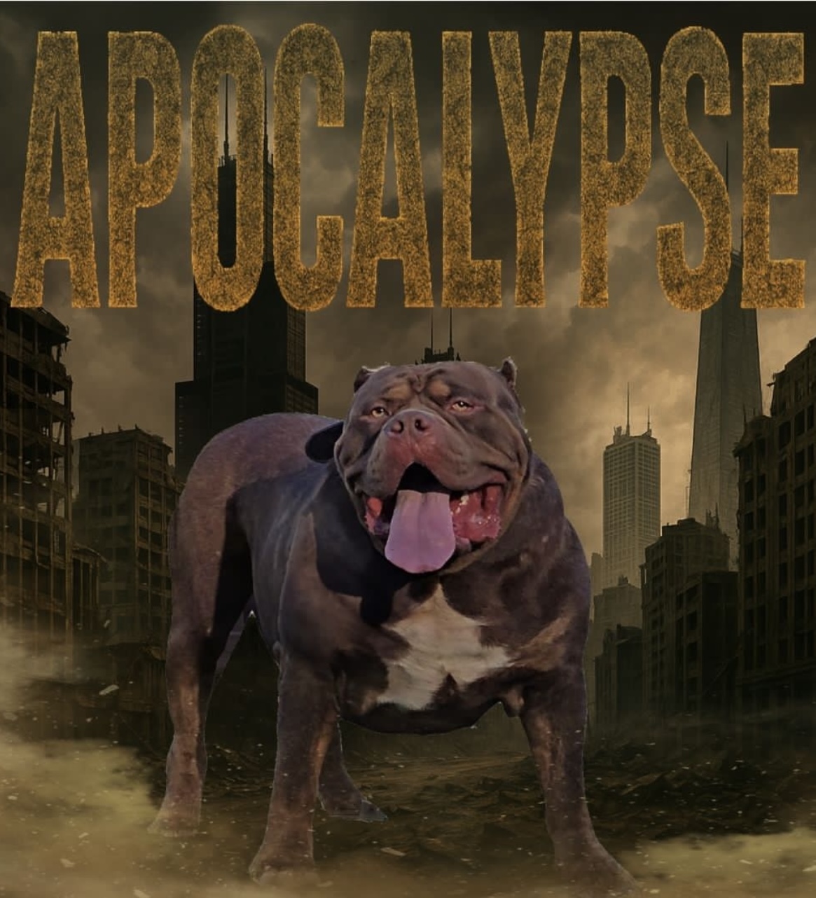 Dog Featured Image