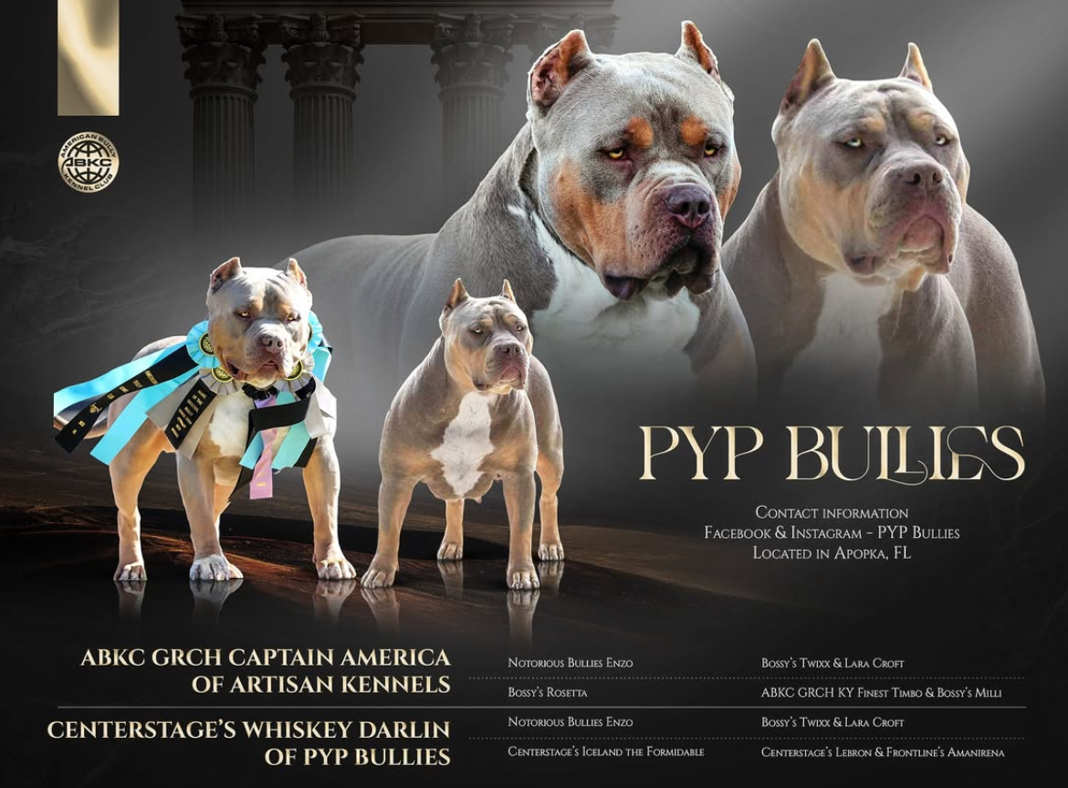 Dog Featured Image