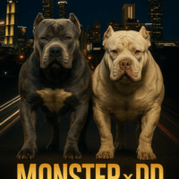 Monster x DD test mating