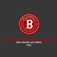 EE BILLSBLUEBULLIES THOIS LIL HOE