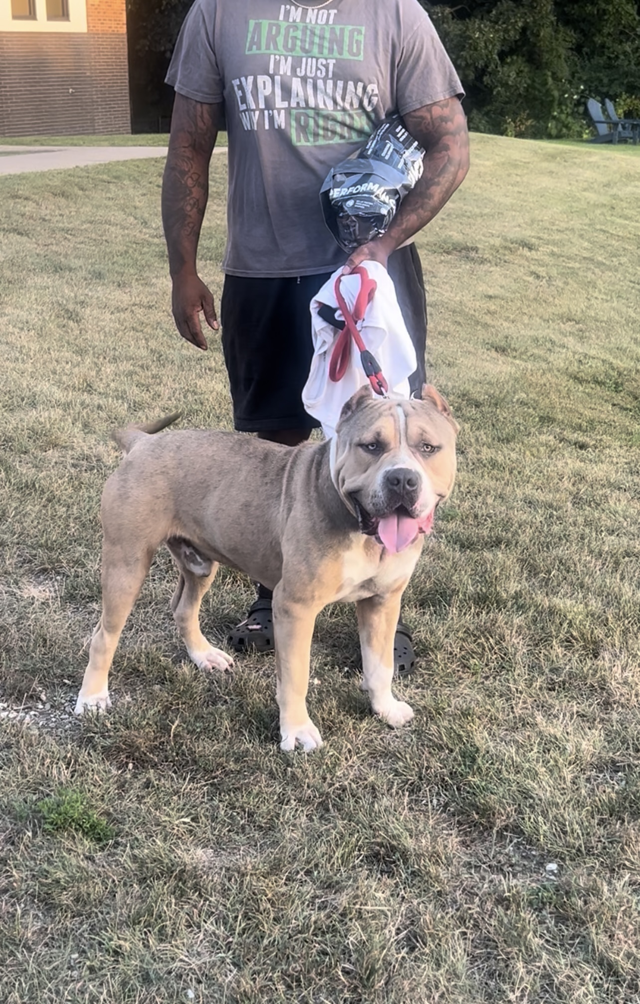 Dog Featured Image