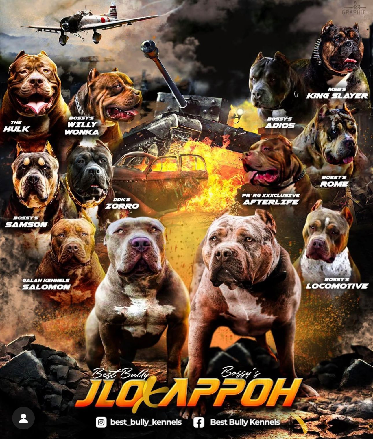 Additional Dog Image