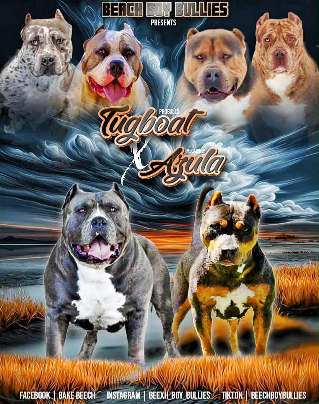 Dog Featured Image