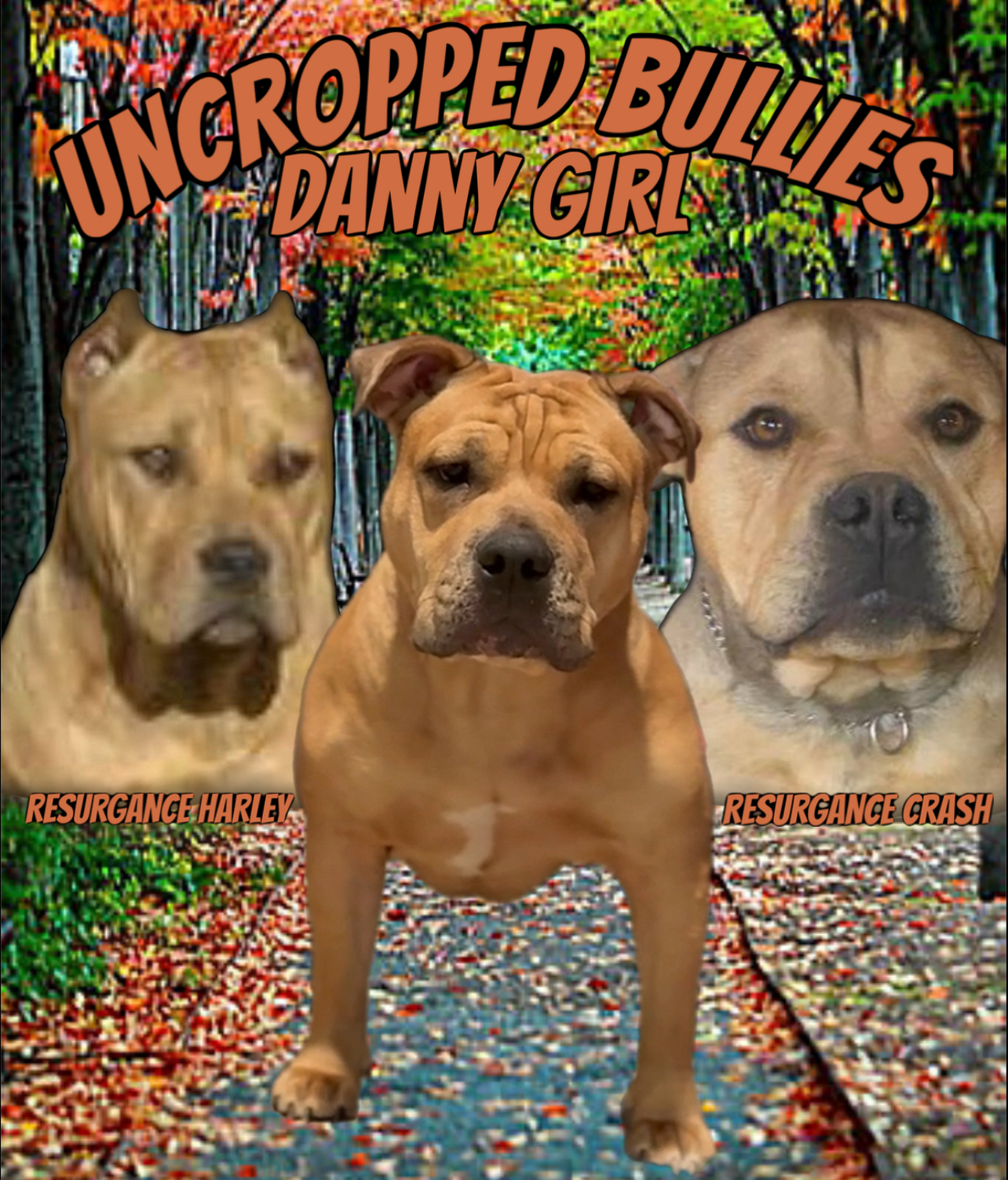 Dog Featured Image