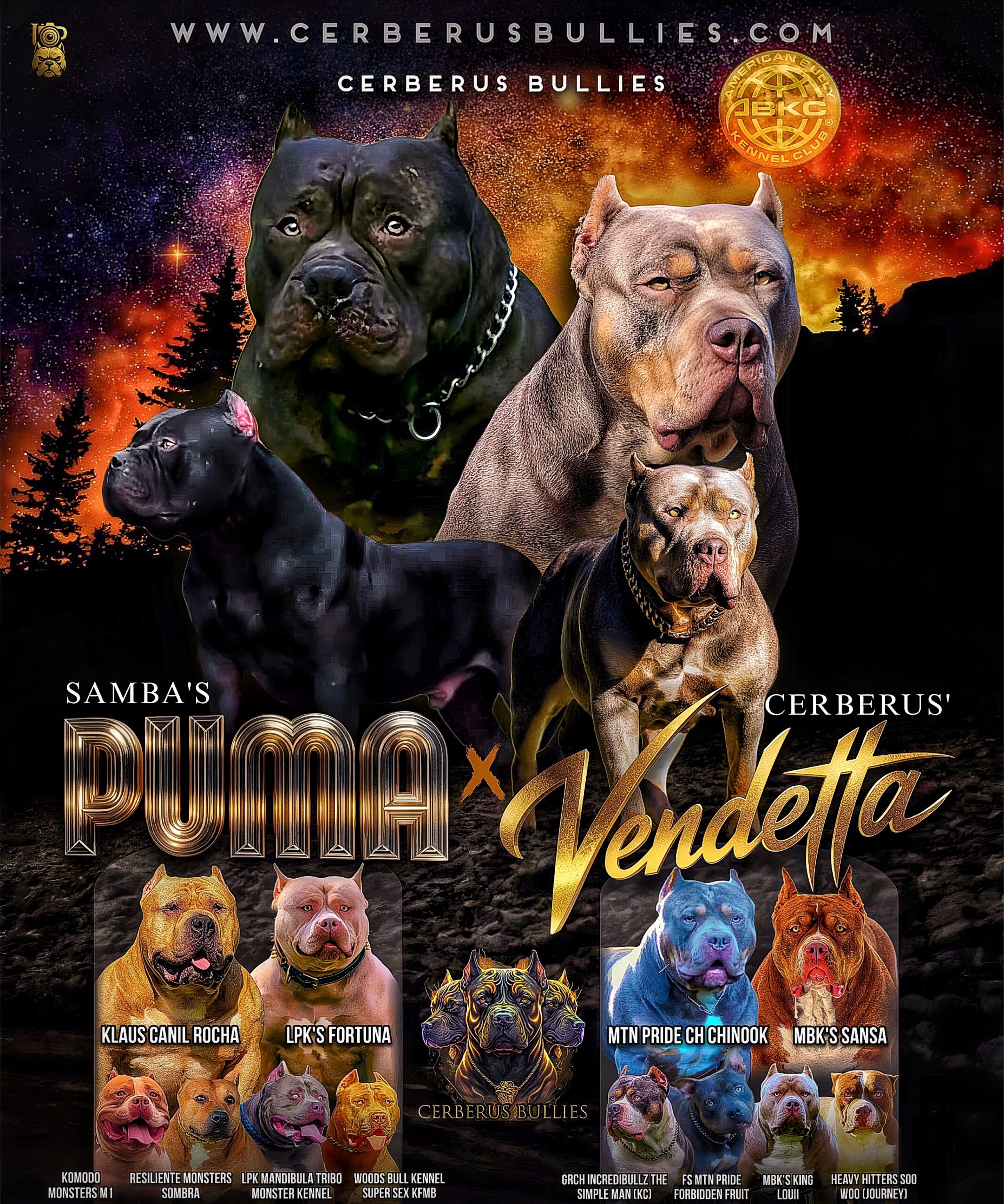 Dog Featured Image
