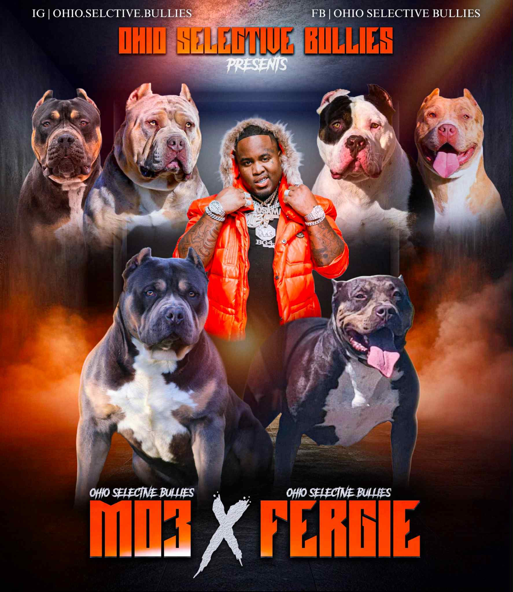 Dog Featured Image
