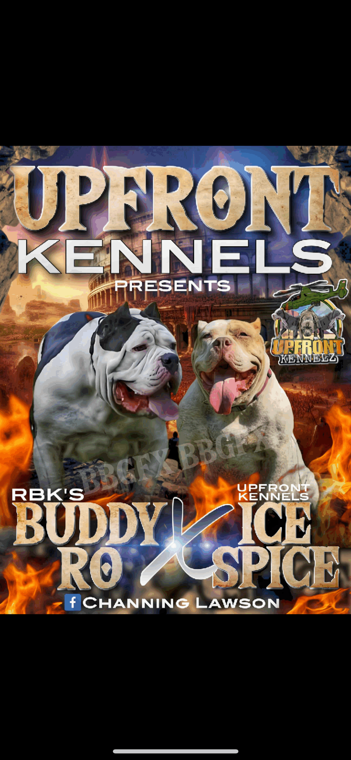 Dog Featured Image