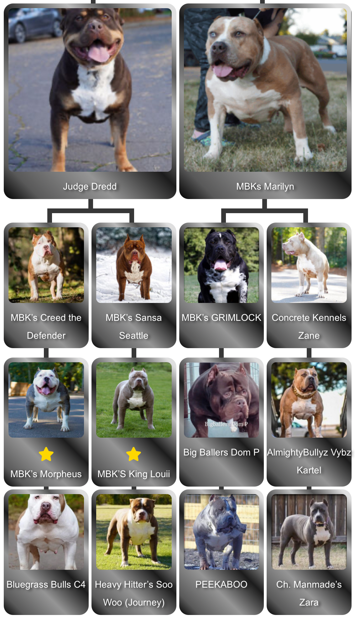 Dog Featured Image