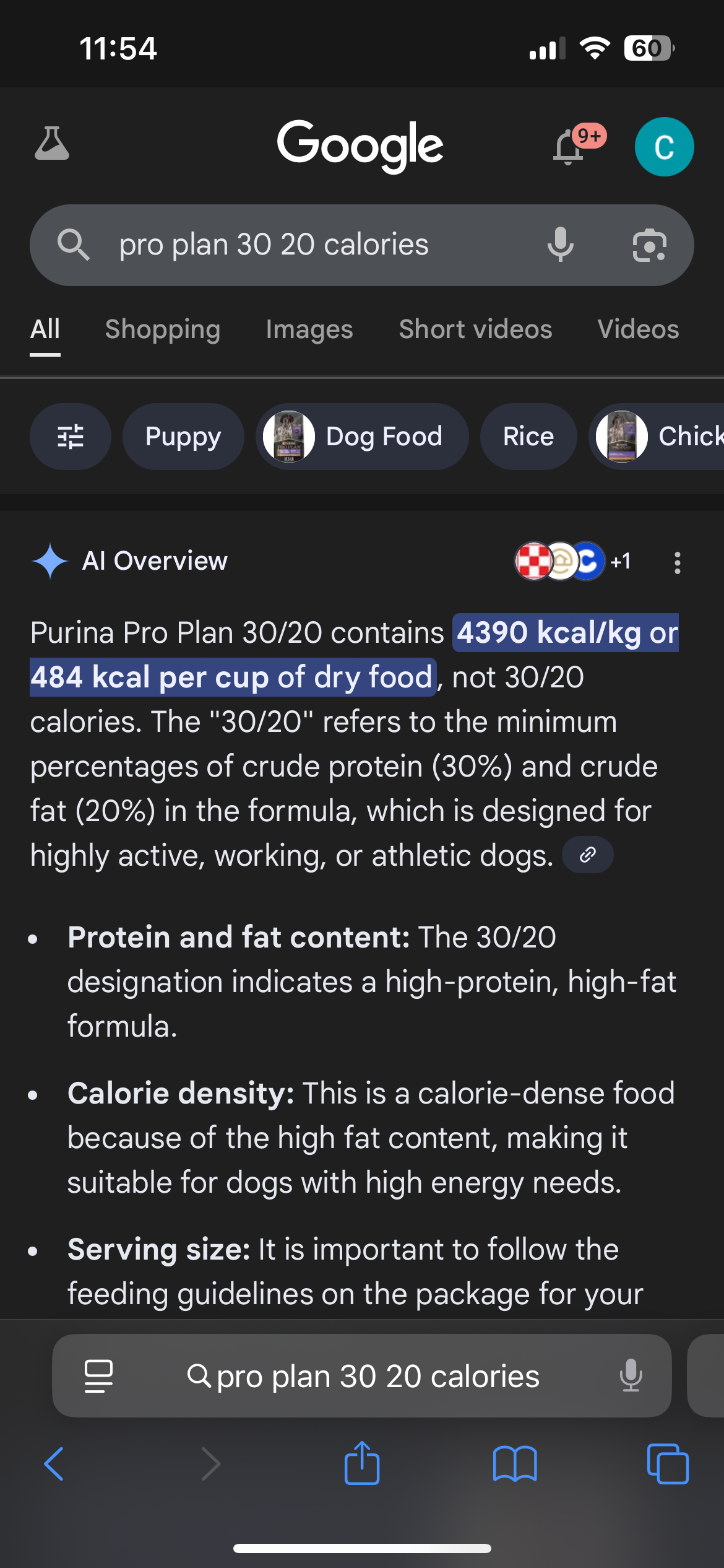 Dog Featured Image