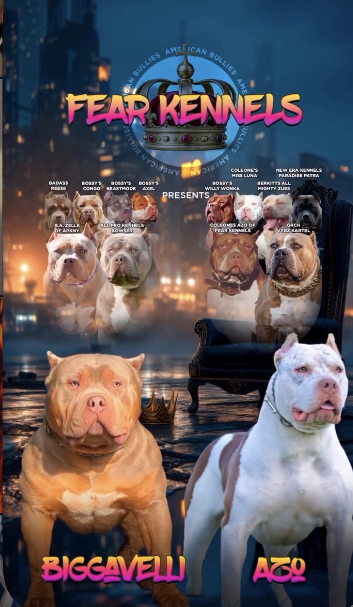 Dog Featured Image
