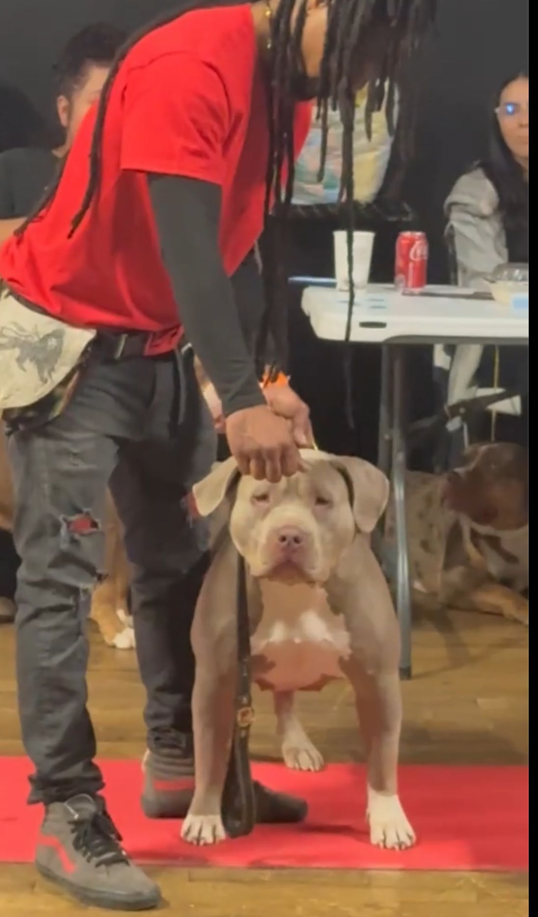 Dog Featured Image
