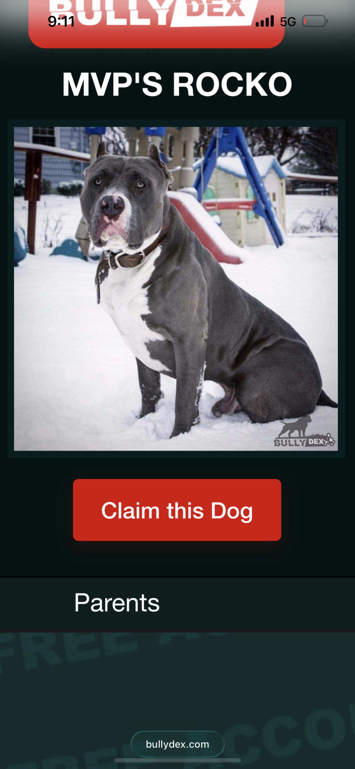 Dog Featured Image