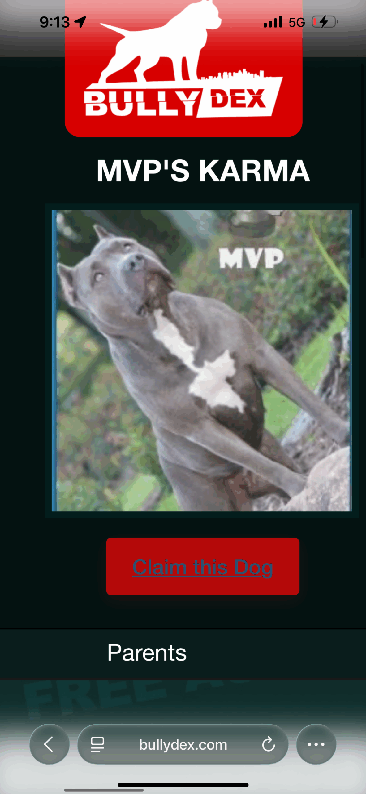 Dog Featured Image