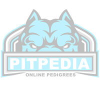 NTK’S BRENDELE OF AMBUSH PITS