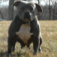 MSB’S/HARTZELL’S SINFUL