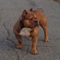 FILTHYRICH TOYLINE BANE INC.