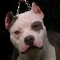 NC-STYLE’S GODDESS OF RAM