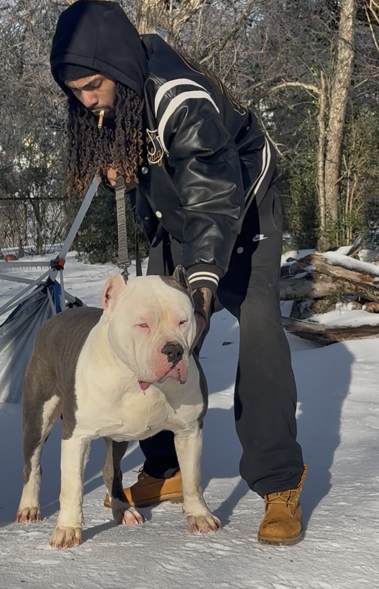 Dog Featured Image
