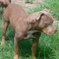 OWEN’S CHAMPAGNE MIMOSA!