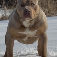 BCB You’re A Daisy If Ya Do