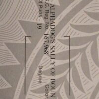 Alphadog’s Sally of Bounty