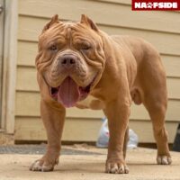 Nawfside Simba