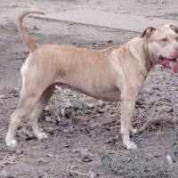 MTZ/ RTBE’s Dixie Mafia