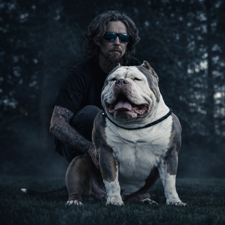 Additional Dog Image