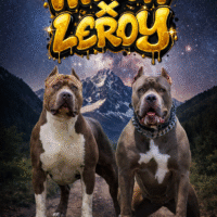 AMB Debrah grey puddin