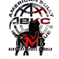 KMB’ S WILLY WONKA