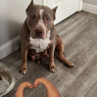 Storm Chinks Bulliez