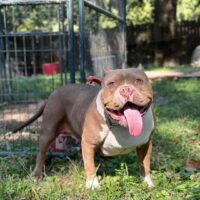 Mary Beth of Abnormal