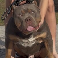 Sinister Sisters Lukus