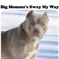 Big Momma’s Sway my Way
