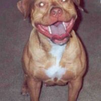 METZ & MC KENNA’S HARA*