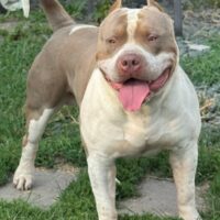 FTK’S MAUI OF EPB’S